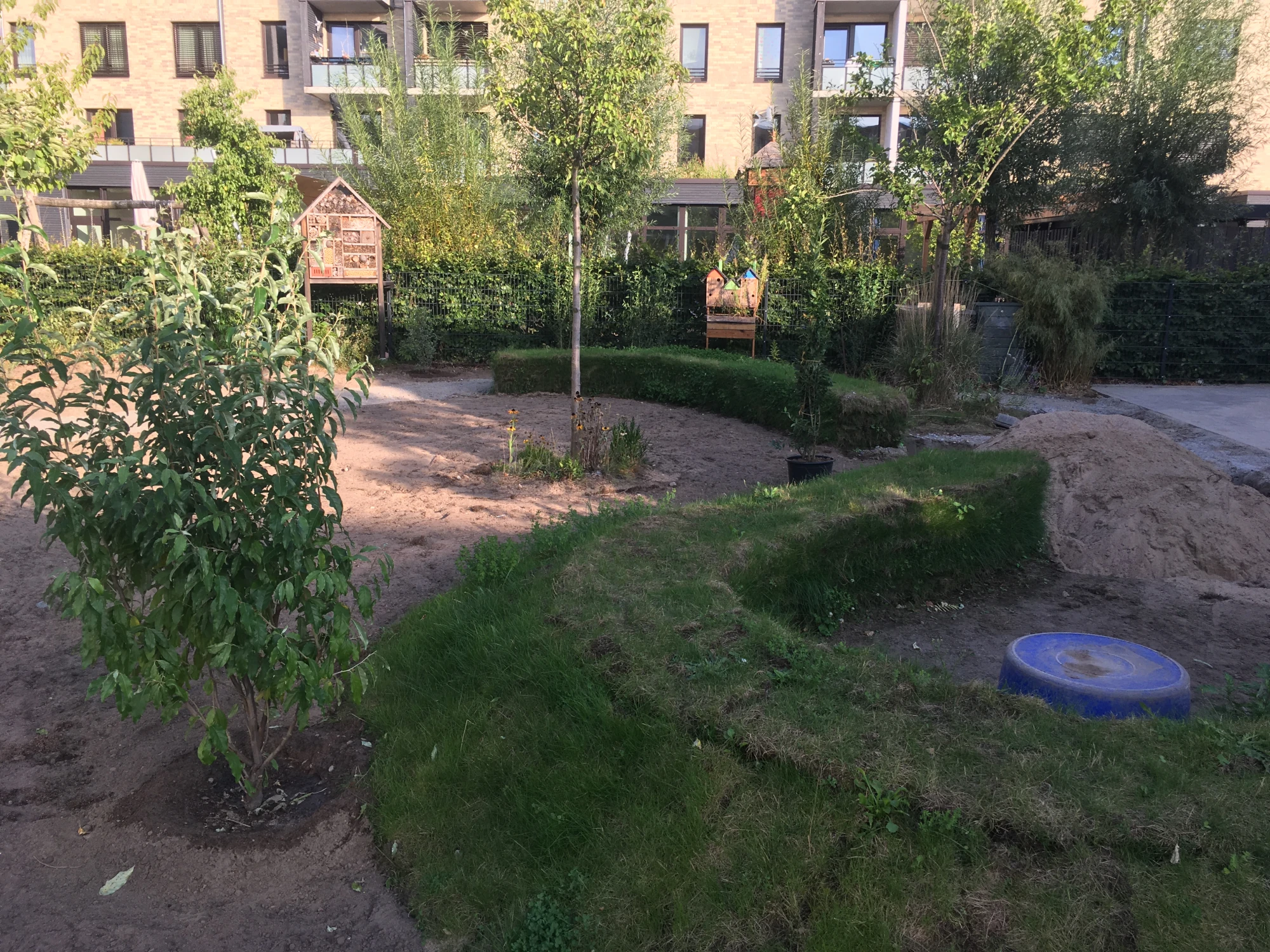 Zu sehen ist der Blauhausgarten: Eine bewachsene Sitzgelegenheit aus Gras, sowie einige Bäume und im Hintergrund ein Insektenhotel.