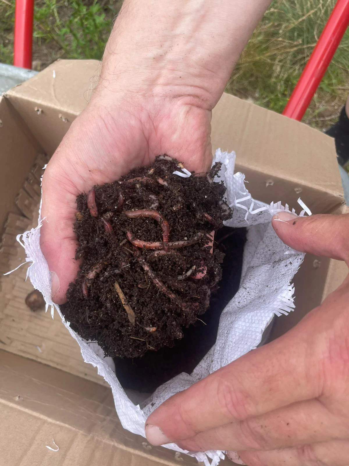 Zu sehen ist eine Hand, die Erde und W&uuml;rmer h&auml;lt